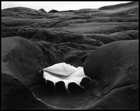 Edward Weston