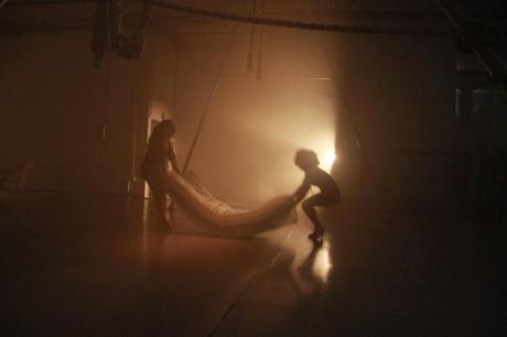 un volteggiar di tigri