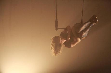 un volteggiar di tigri