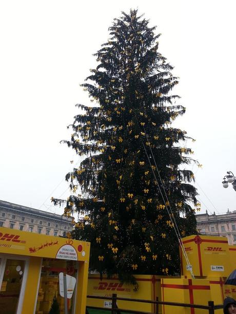 Albero di Natale in Piazza Duomo