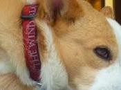 Arturo avventure parte