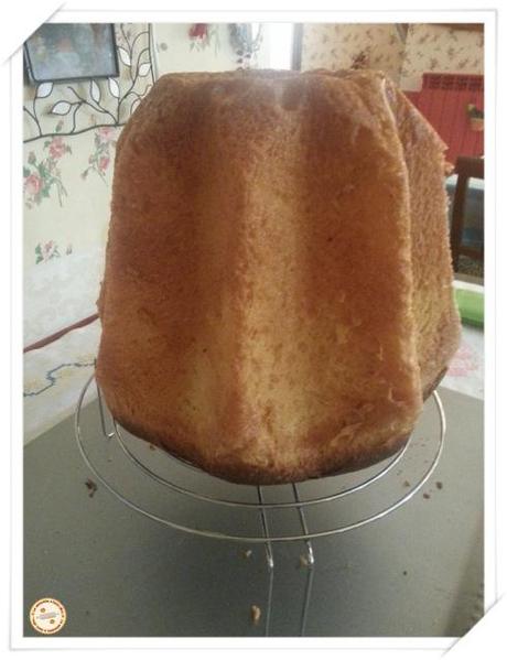 pandoro a tre lievitazioni senza sfogliatura