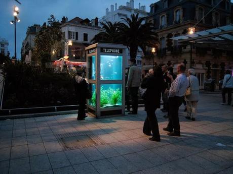 Phone Booth Aquariums _ Benedetto Bufalino + Benoit Deseille