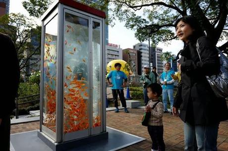 Phone Booth Aquariums _ Benedetto Bufalino + Benoit Deseille