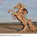 Le incredibile sculture in legno di Jeffro Uitto.