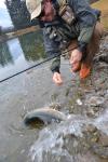 Trote grandi per grandi auguri! La pescata di Natale in laghetto