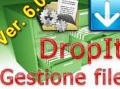 DropIt Gestione Organizzazione File