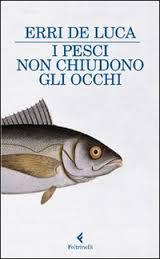 I libri del 2013 [forse se ne aggiungerà almeno un altro...]