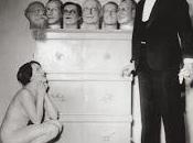 Tema Ventriloqua
