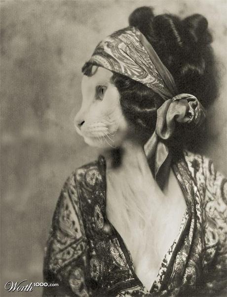Animal Renaissence