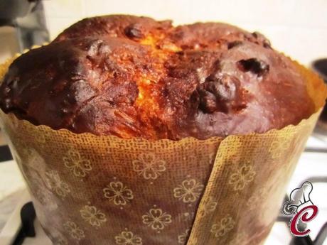 Panettone handmade: prove generali di un panettone che si crede una colomba