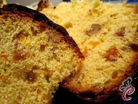 Panettone handmade: prove generali di un panettone che si crede una colomba