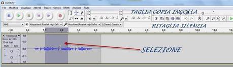 audacity-strumenti