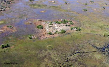 Il delta dell'Okavango - Botswana