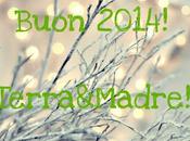 Buon 2014: articoli piu’ letti 2013 calendari gratis