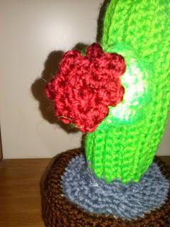 CACTUS ALL'UNCINETTO!