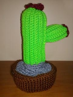 CACTUS ALL'UNCINETTO!