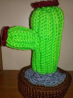 CACTUS ALL'UNCINETTO!