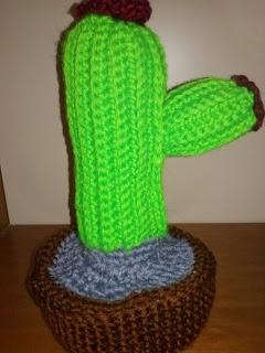 CACTUS ALL'UNCINETTO!