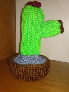 CACTUS ALL'UNCINETTO!