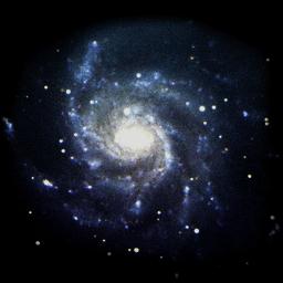 Auguri di Buona Fine e Buon Principio a chi legge questo blog