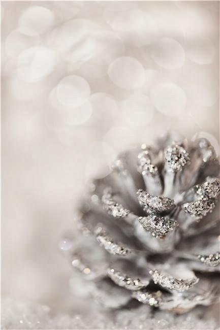 New Year of Moda per Principianti