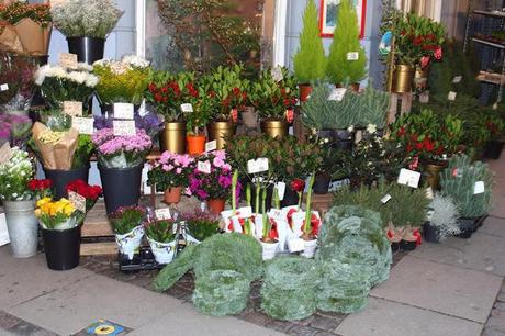 Copenaghen (first day) - November 2013