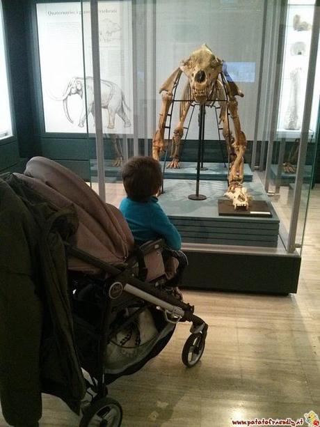 Museo Civico, Rovereto - Trentino, Italy