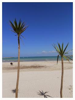 http://pane-e-marmellata.blogspot.it/2013/07/puglia-e-italia-delle-meraviglie.html