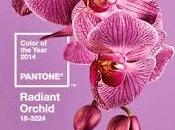 Color 2014: PANTONE 18-3224 Radiant Orchid