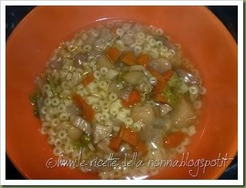 Minestrone di verdure dell'orto con pastina (10)