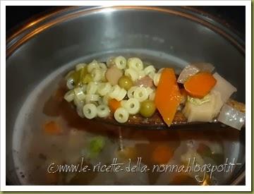 Minestrone di verdure dell'orto con pastina (9)