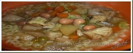 Minestrone di verdure dell'orto con pastina (12)