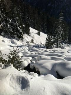 Kafka sulla neve: metamorfosicamente, il manto nevoso si adatta al terreno che copre