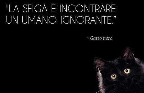 citazioni improbabili gatto nero