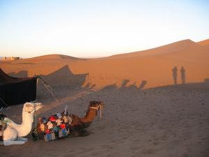 Marocco desert