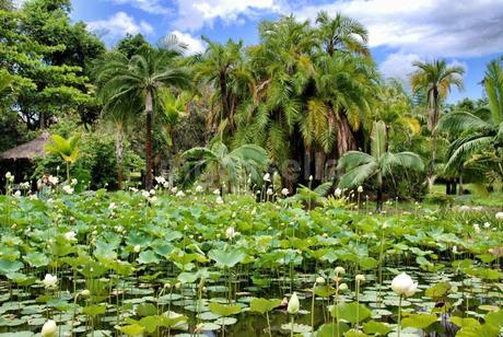 Mauritius, atmosfere coloniali