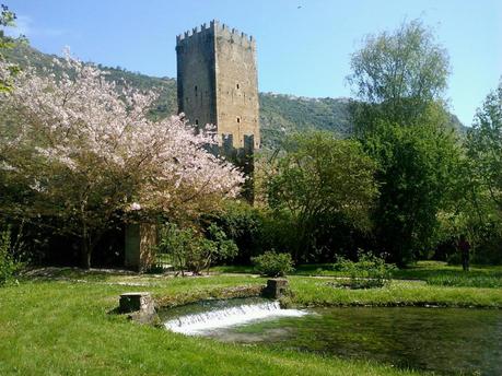 Il mondo in un giardino