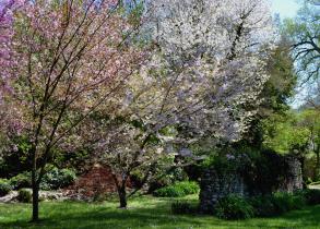 Il mondo in un giardino