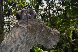 Ubud, dove la natura è arte #2