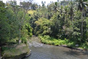 Ubud, dove la natura è arte #1