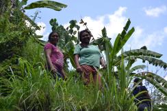 Ubud, dove la natura è arte #1