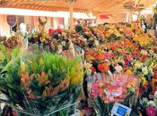 Nizza: Marché fleurs