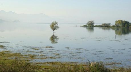 lago shkoder