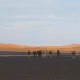 Viaggio nel Sud del Marocco