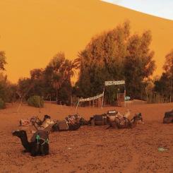 Viaggio nel Sud del Marocco