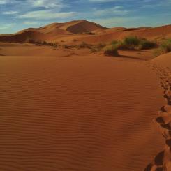 Viaggio nel Sud del Marocco