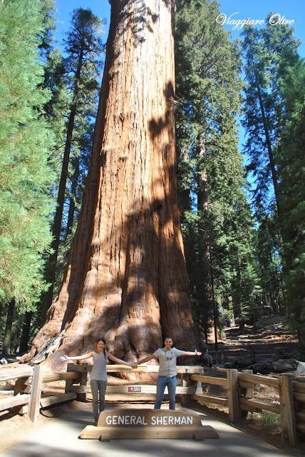 Stati Uniti On The Road: il Sequoia National Park