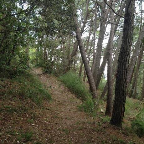 #exploringMarche - Passo del Lupo  Monte Conero: cosa si può fare e cosa no (ad oggi)