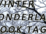 Winter Wonderland Book